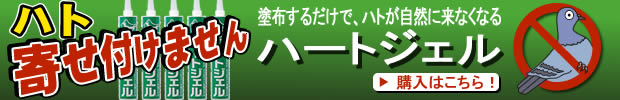 塗布するだけでハトが自然に来なくなる　ハートジェル　購入