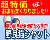 超特価野良猫シャットを購入する